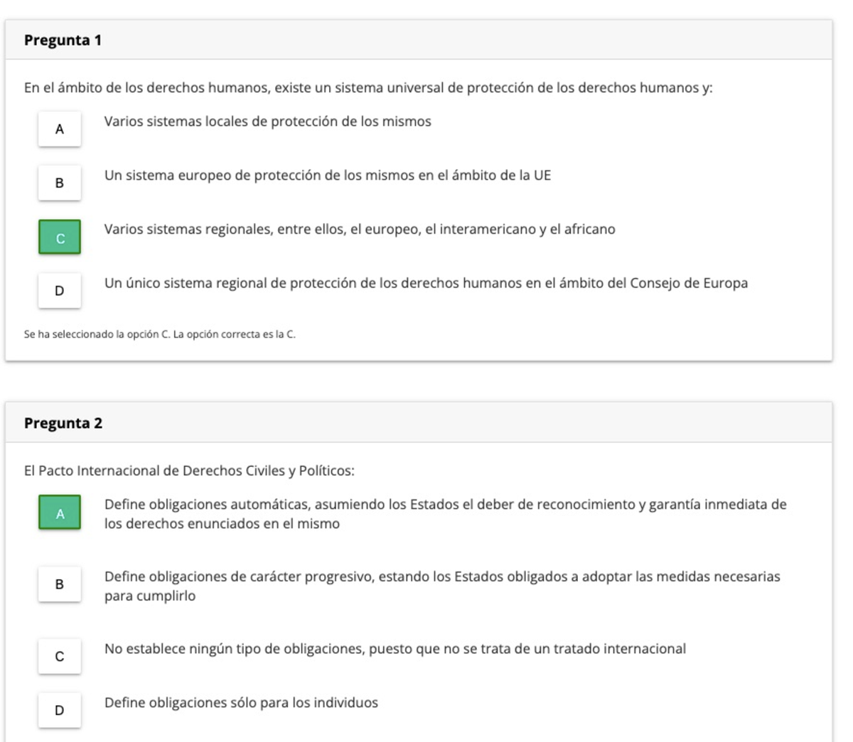 Protección internacional de los derechos humanos 2021 - La Protección ...