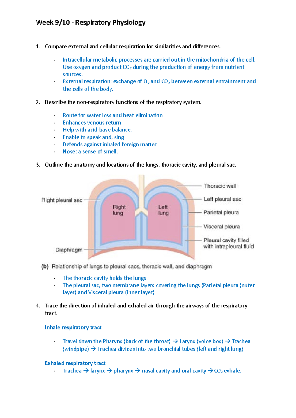 Week 9:10 - Respiratory Physiology - Compare external and cellular ...