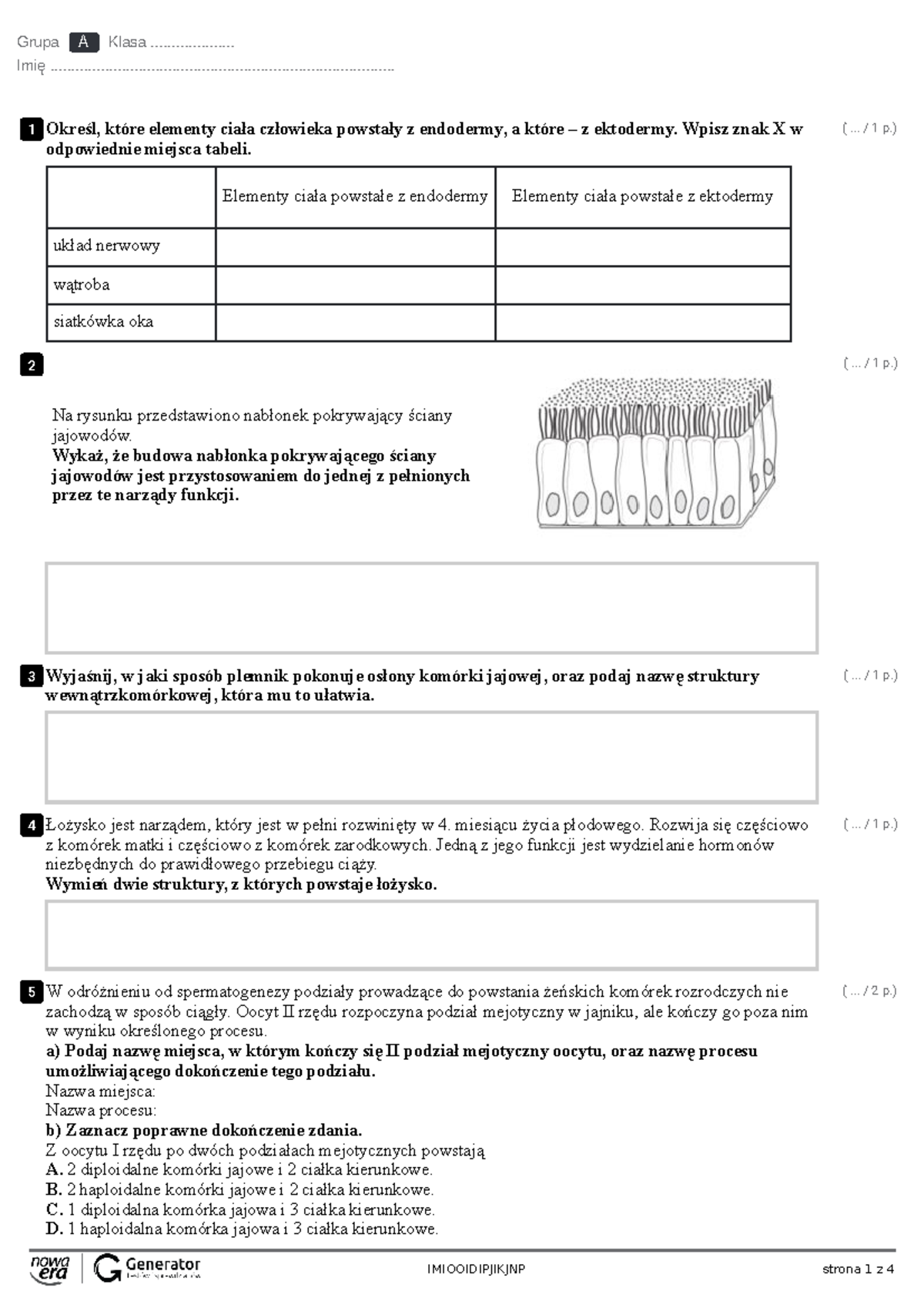 Sprawdzian Biologia Klasa 7 Układ Rozrodczy www.studocu.com