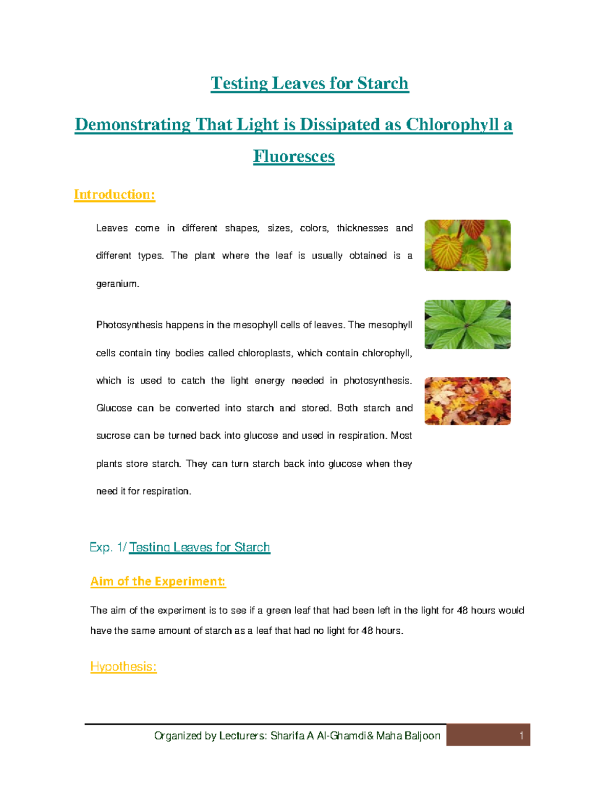 Testing leaves for starch BIO4144 uOttawa Studocu