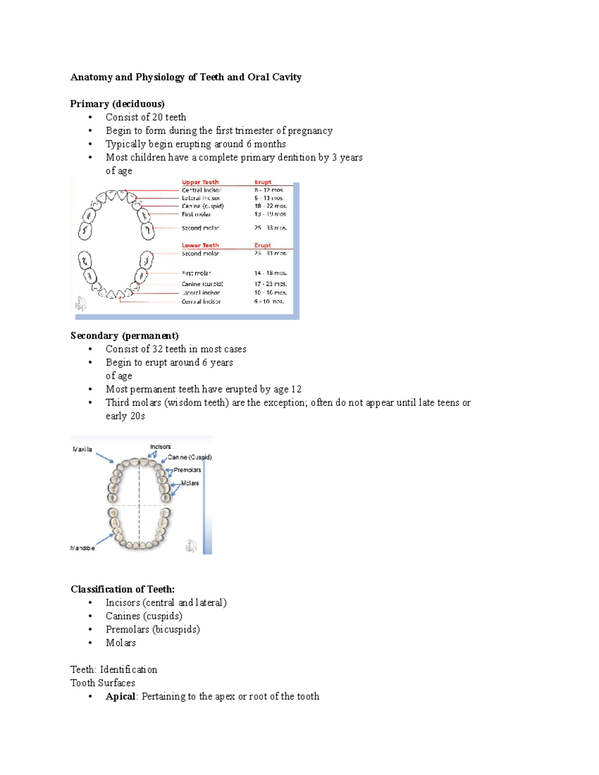 207855749-anatomy-and-physiology-of-teeth-and-oral-cavity-docx