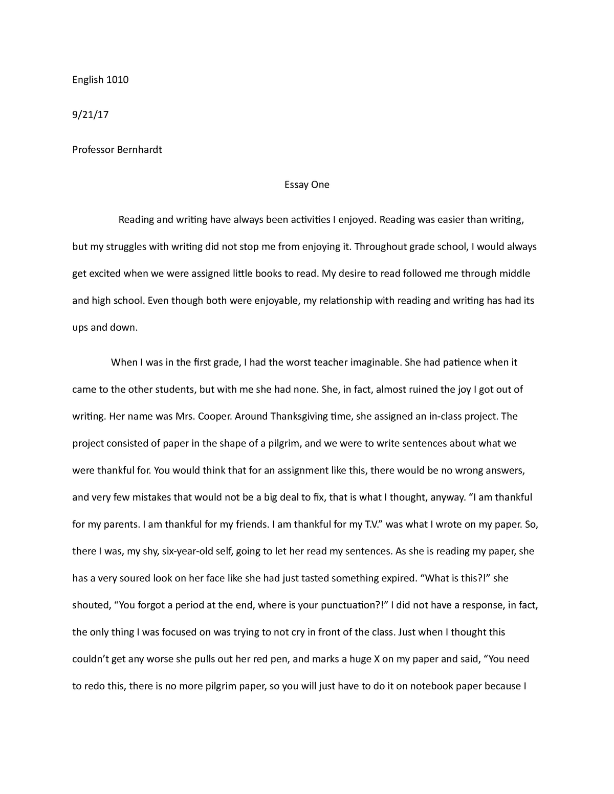essay about my experiences as a writer in english 1010