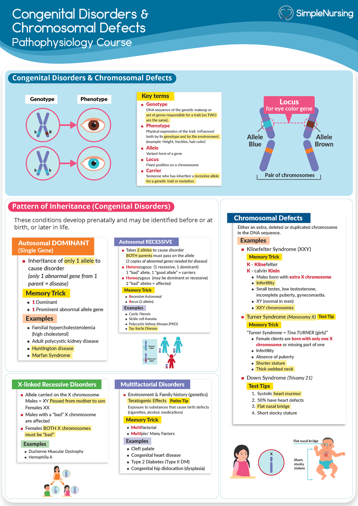 Patho - Cell Congenital Disorders - Genetic Congenital Disorders ...