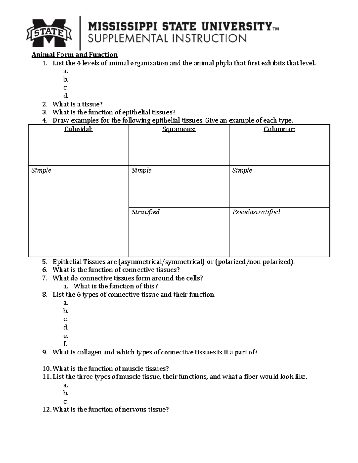 Bio IITest 2Study Guide - Animal Form and Function 1. List the 4 levels ...