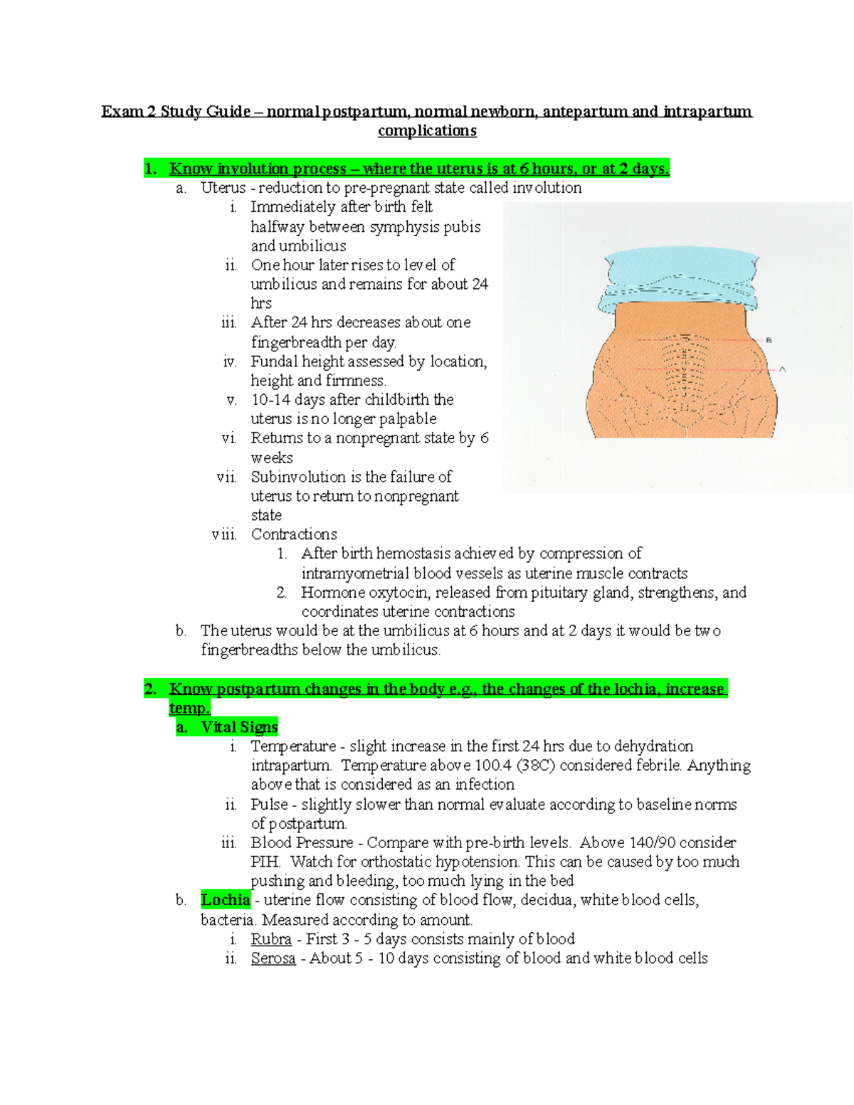 Doc8 - Study Guides/notes - Exam 2 Study Guide – Normal Postpartum ...