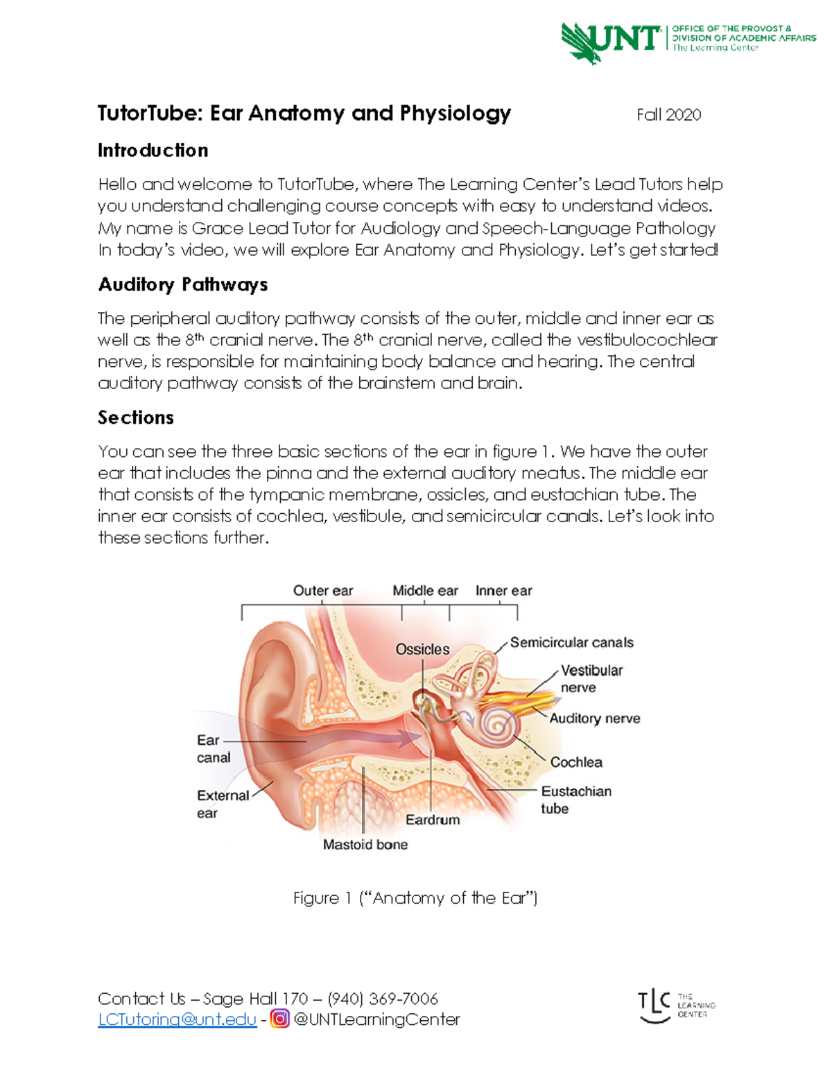 Stapes - an overview  ScienceDirect Topics