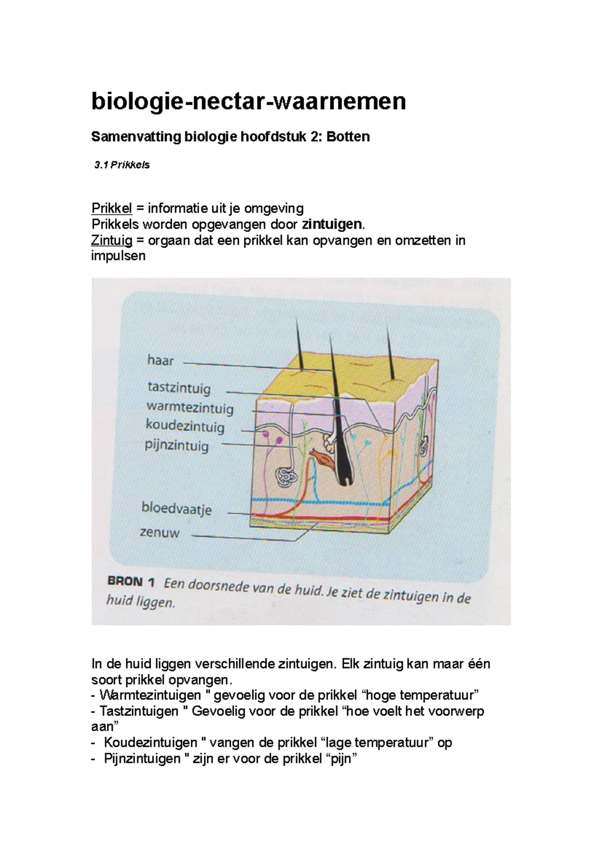 Biologie Hoofdstuk 3 - Botten - Biologie-nectar-waarnemen Samenvatting ...