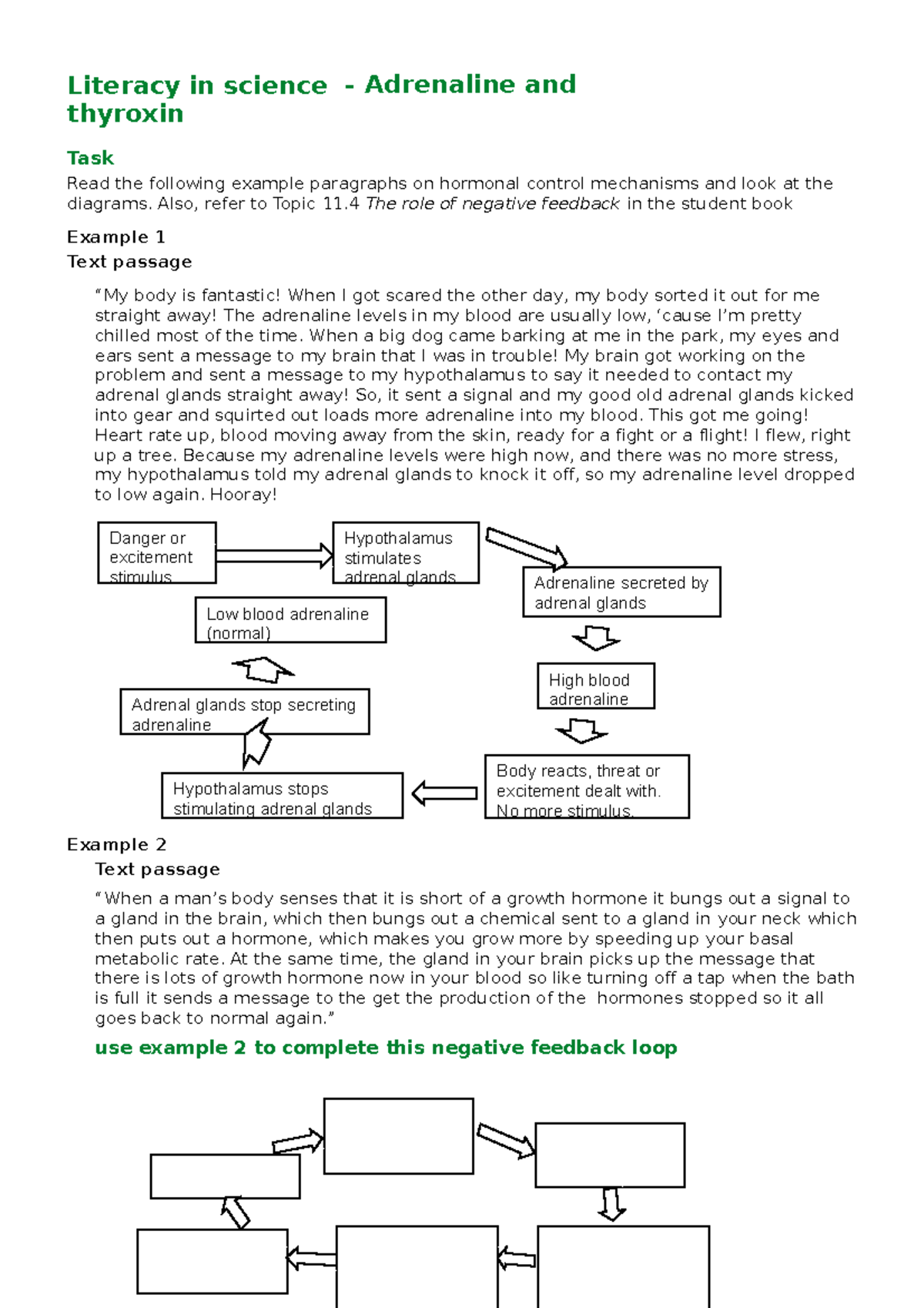 Literacy adrenaline thyroxine literacy KJM - Literacy in science ...