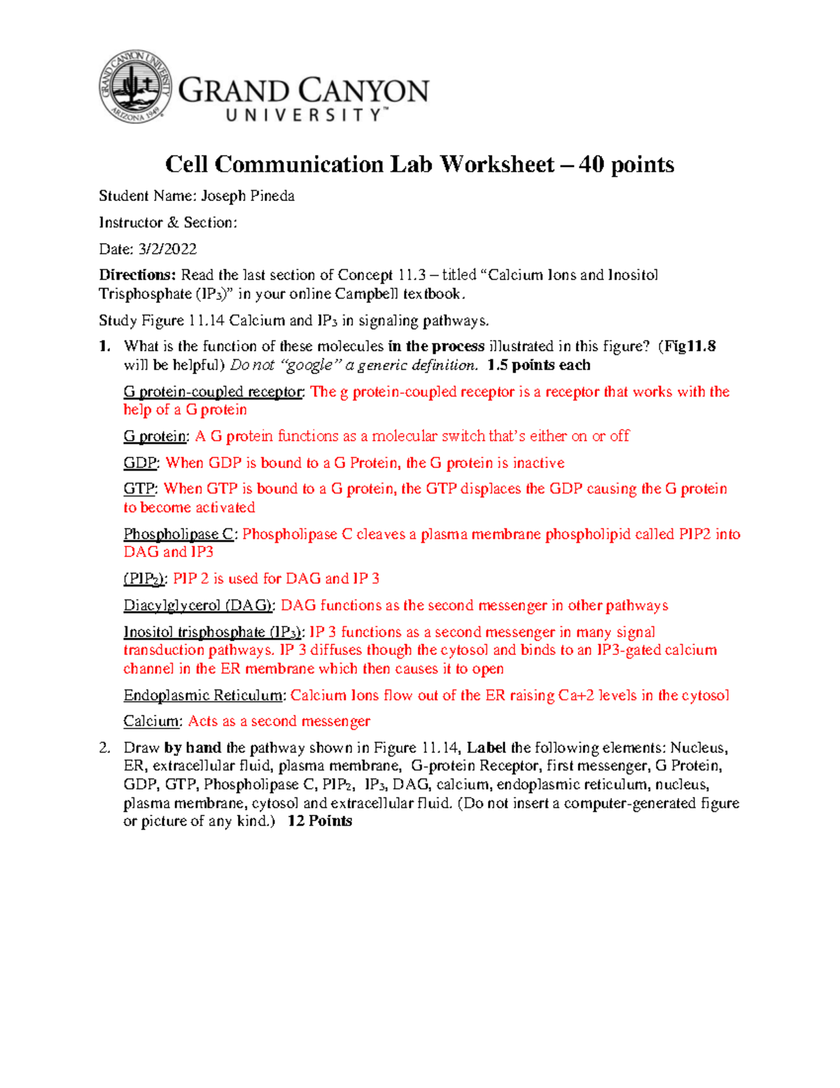 cell-signaling-lab-worksheet-cell-communication-lab-worksheet-40