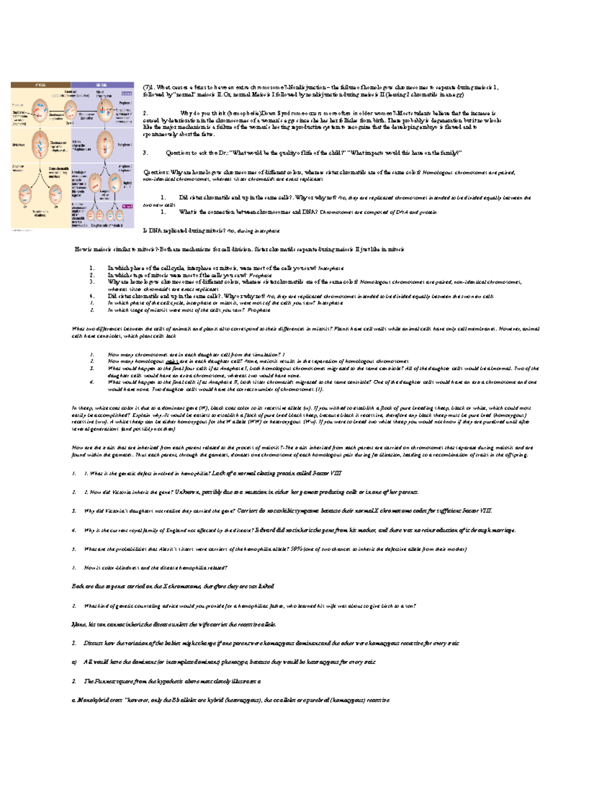 Phun Extra: The Ultimate Cheat Sheet - xtu3074