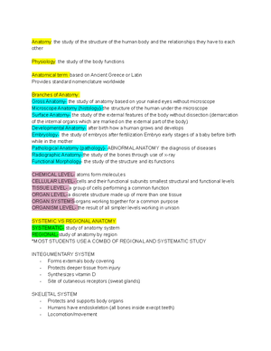 Chapter 12 Nerves Fundementals - Fundamentals of the Nervous System and ...