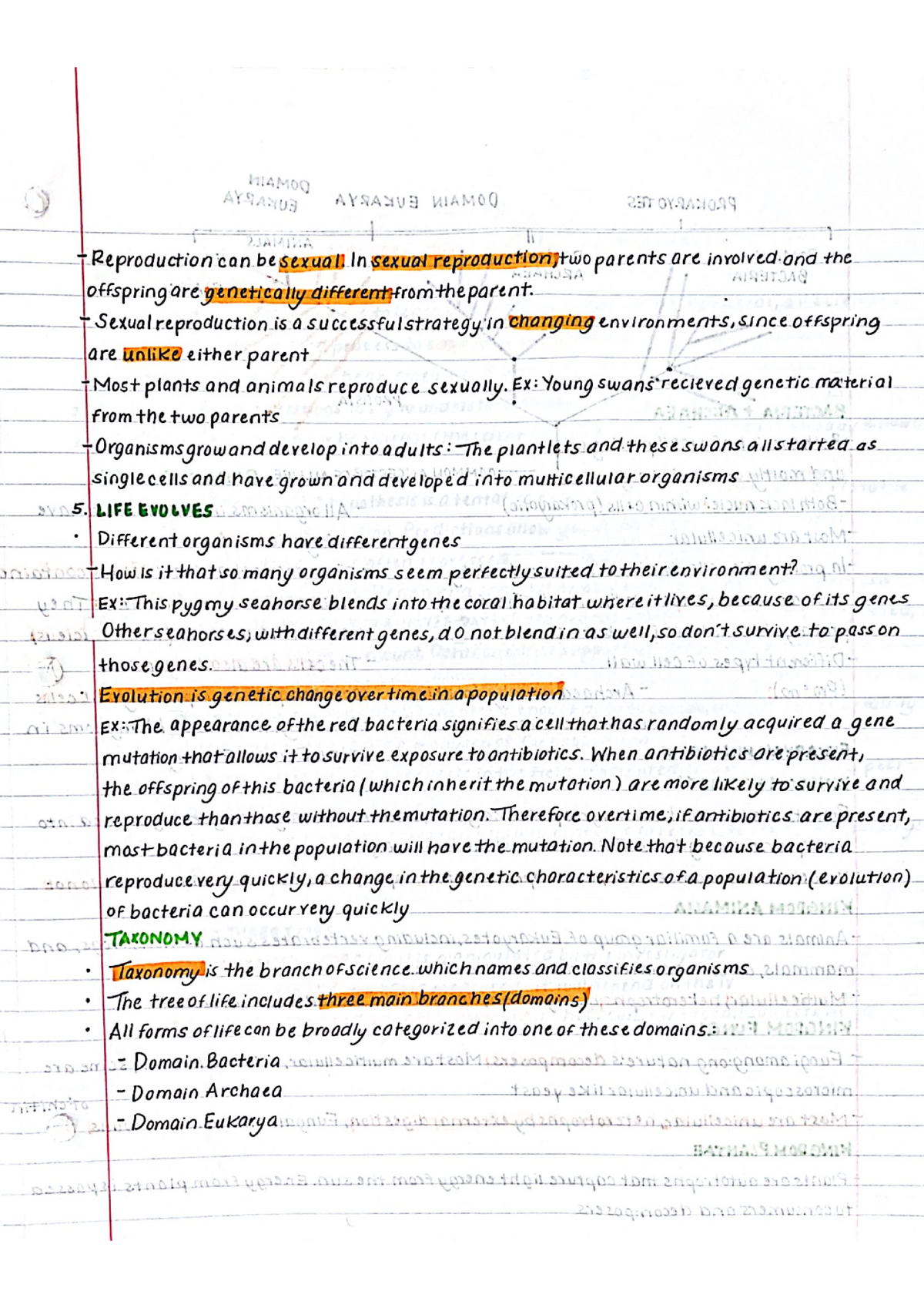 BIO 101 CH.1 Notes - BIO 101 - Studocu