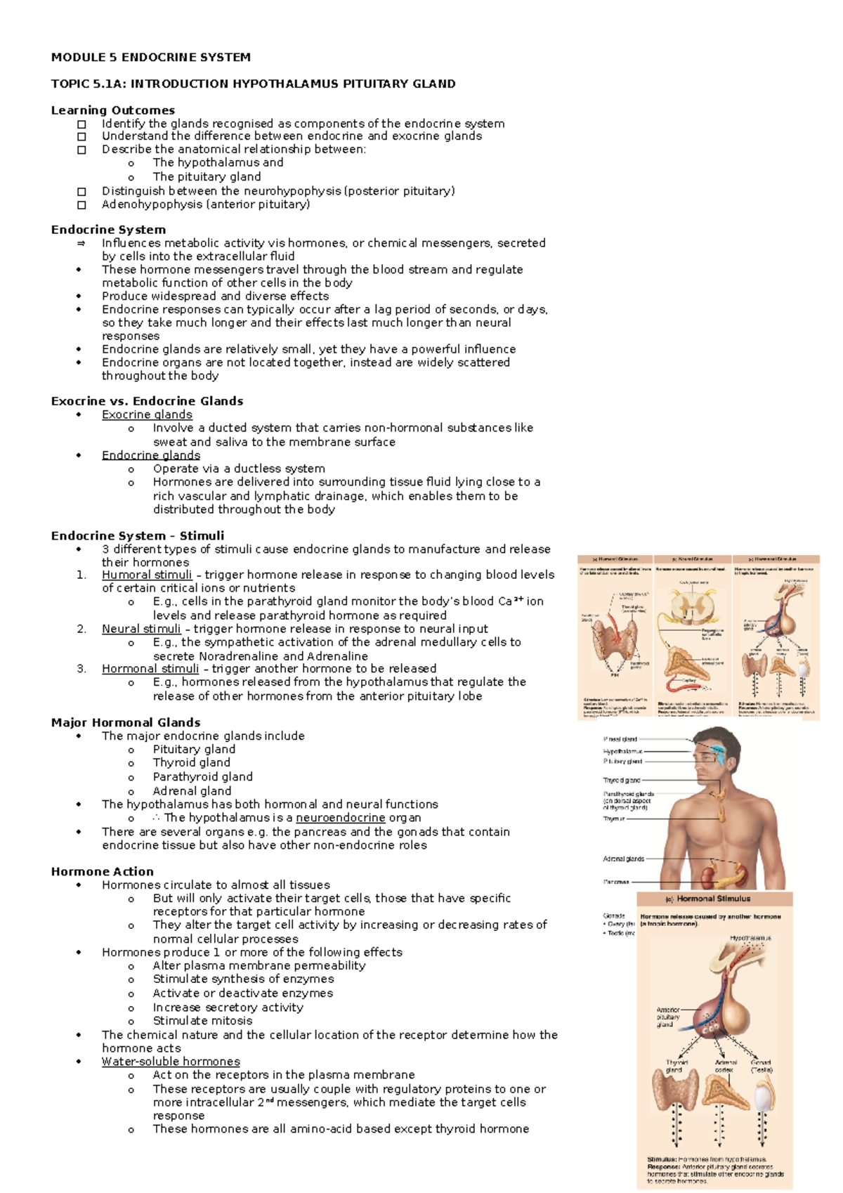 5. Endocrine System - Leanne Kenway - 1017MSC - Griffith - Studocu