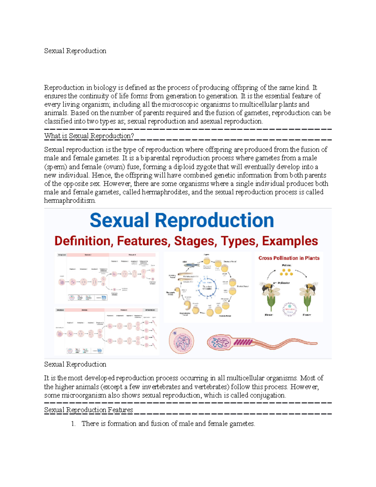 Sexual Reproduction notes Sexual Reproduction Reproduction in