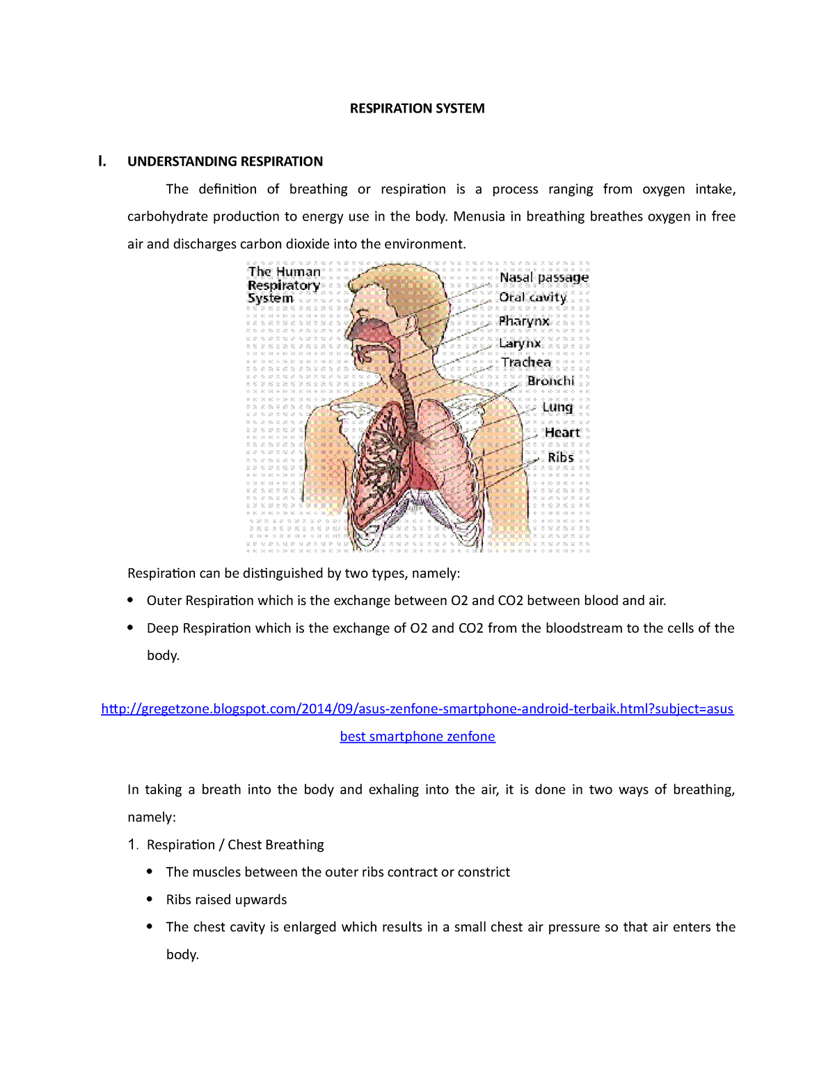 how to write an essay on respiratory system