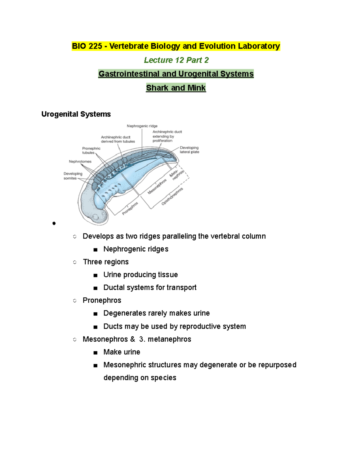 BIO 225 Lecture 12 Part 2 - Winter 2019 - BIO 225 - Vertebrate Biology ...