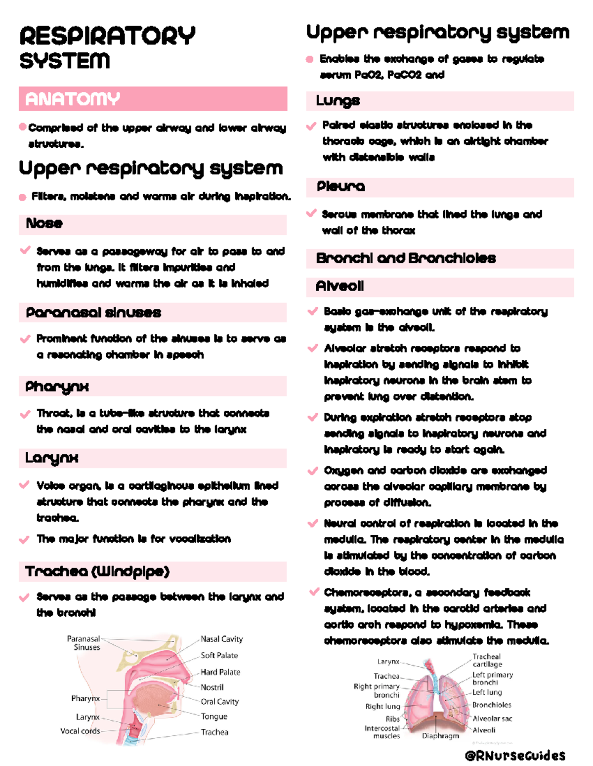 MS Respi - RESPIRATORY SYSTEM ANATOMY Comprised of the upper airway and ...