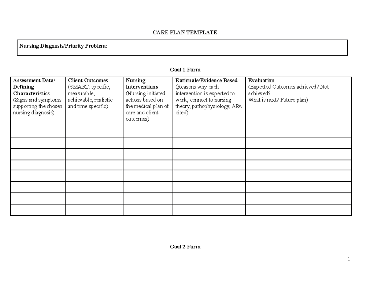 CARE PLAN Template - End of the year assignment - CARE PLAN TEMPLATE ...