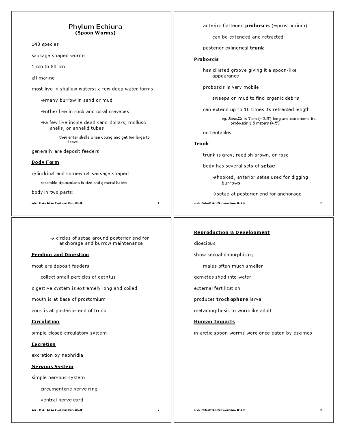 Phylum Echiura - General Zoology Lecture Notes and Handout - Anials ...