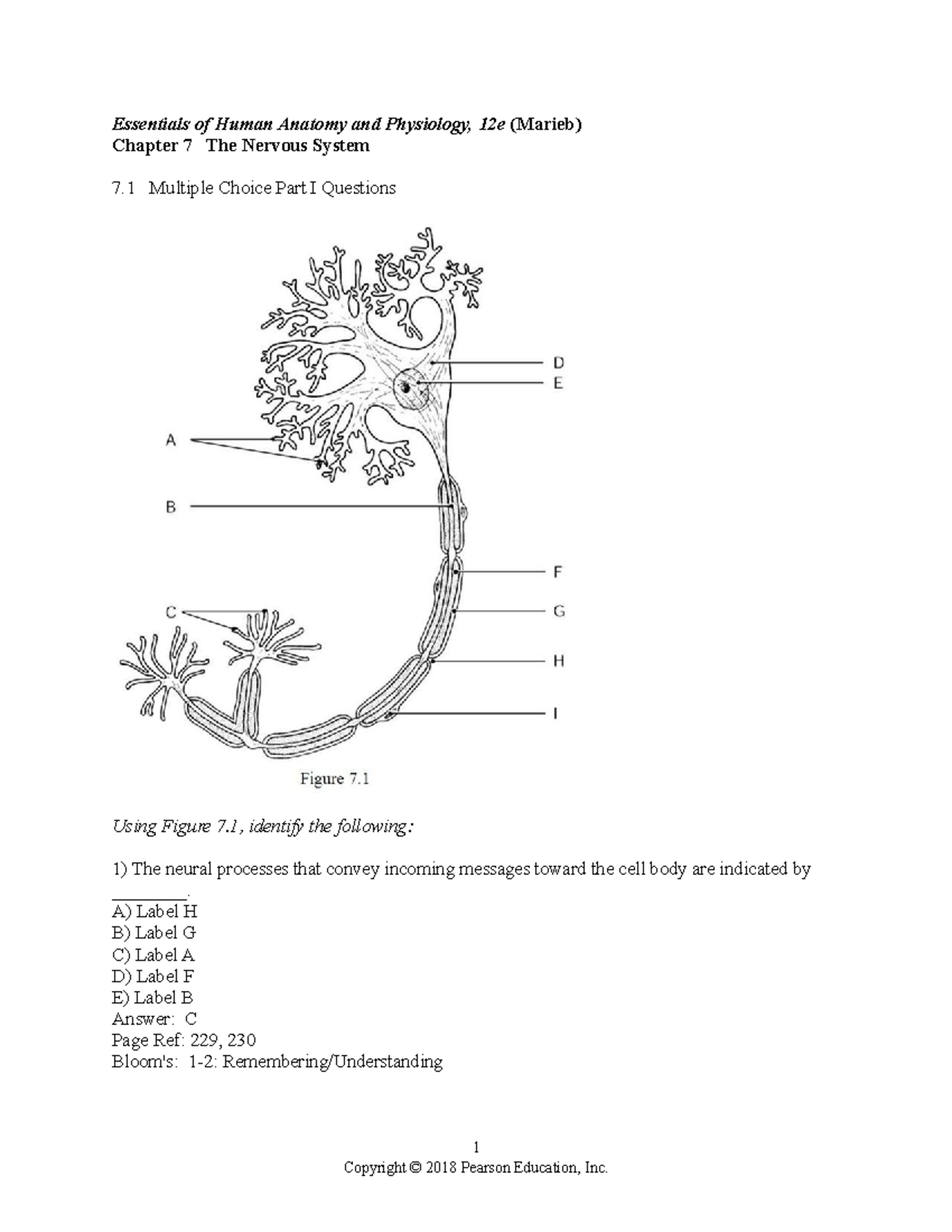 Ehap12e Ch 07 Test Bank - Human Anatomy Test Bank. - Essentials Of ...