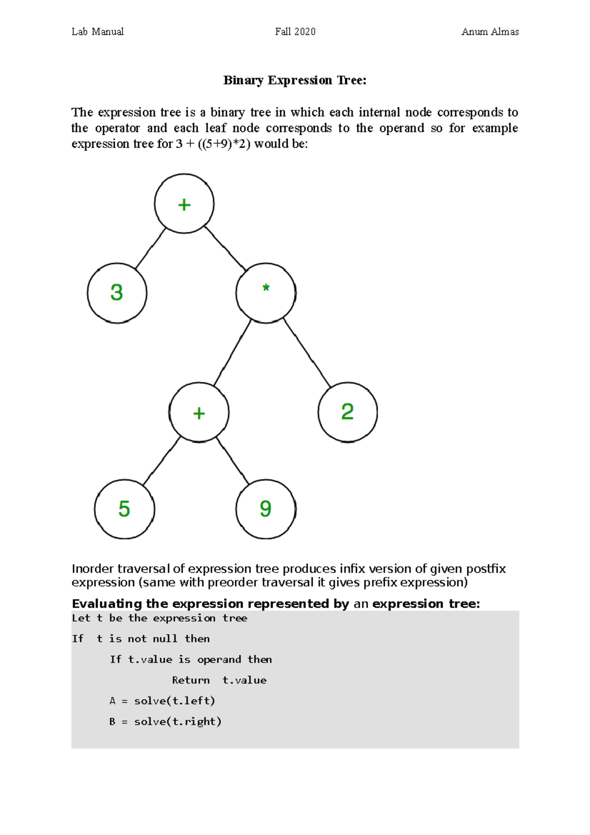 lab-lec-20-21binary-expression-tree-binary-expression-tree-the