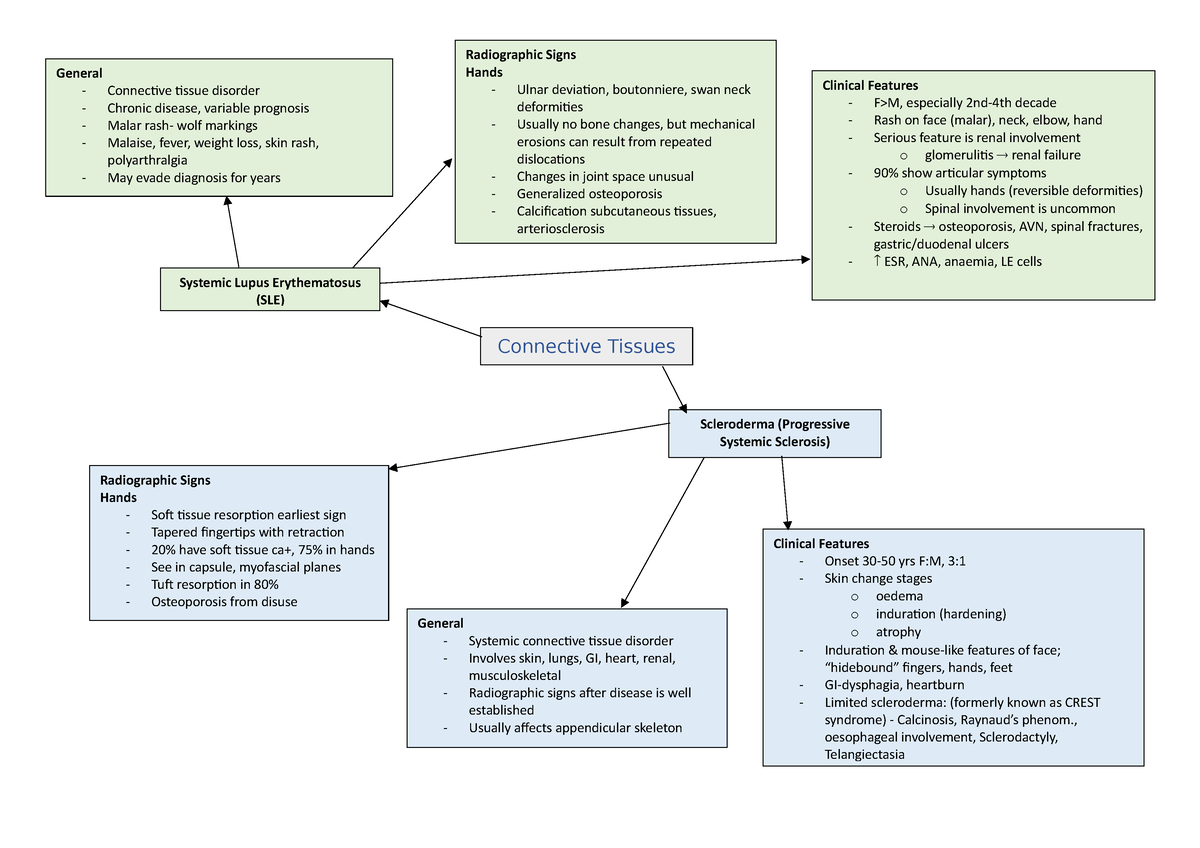 Connective Tissue - Summary - General Connective tissue disorder ...