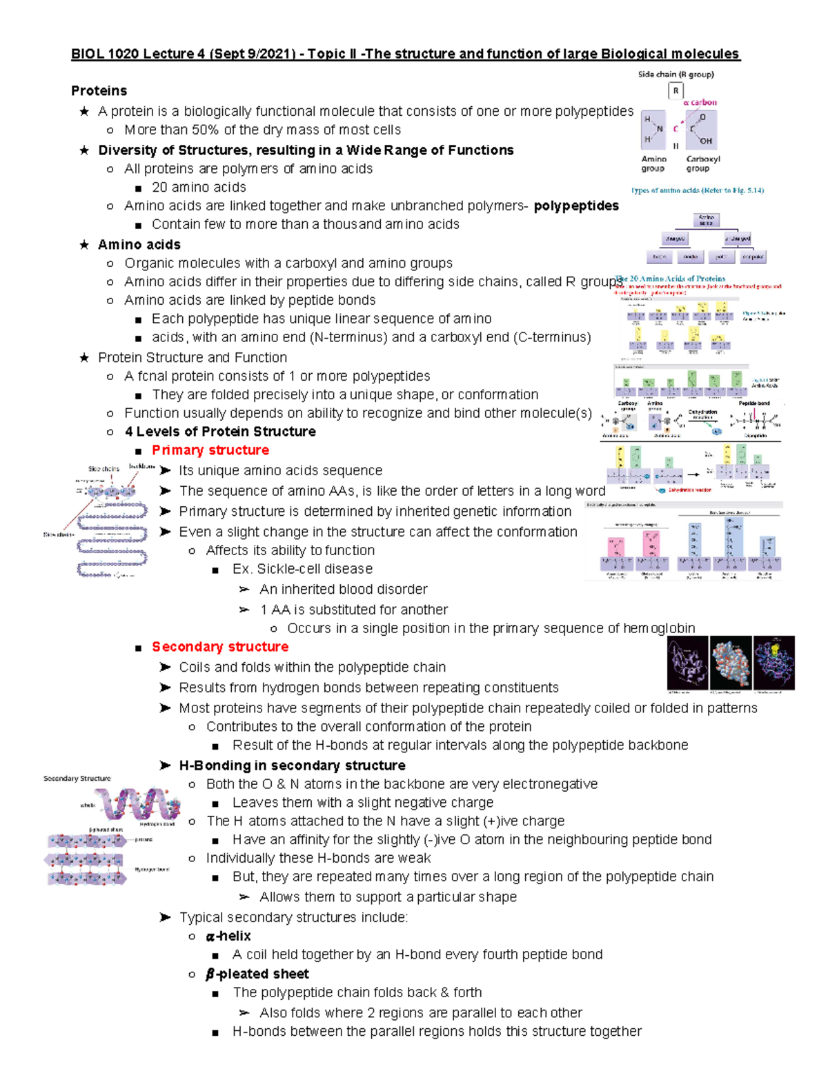 BIOL 1020 - L 4 Topic 2 (2021 ) - BIOL 1020 Lecture 4 (Sept 9/2021 ...