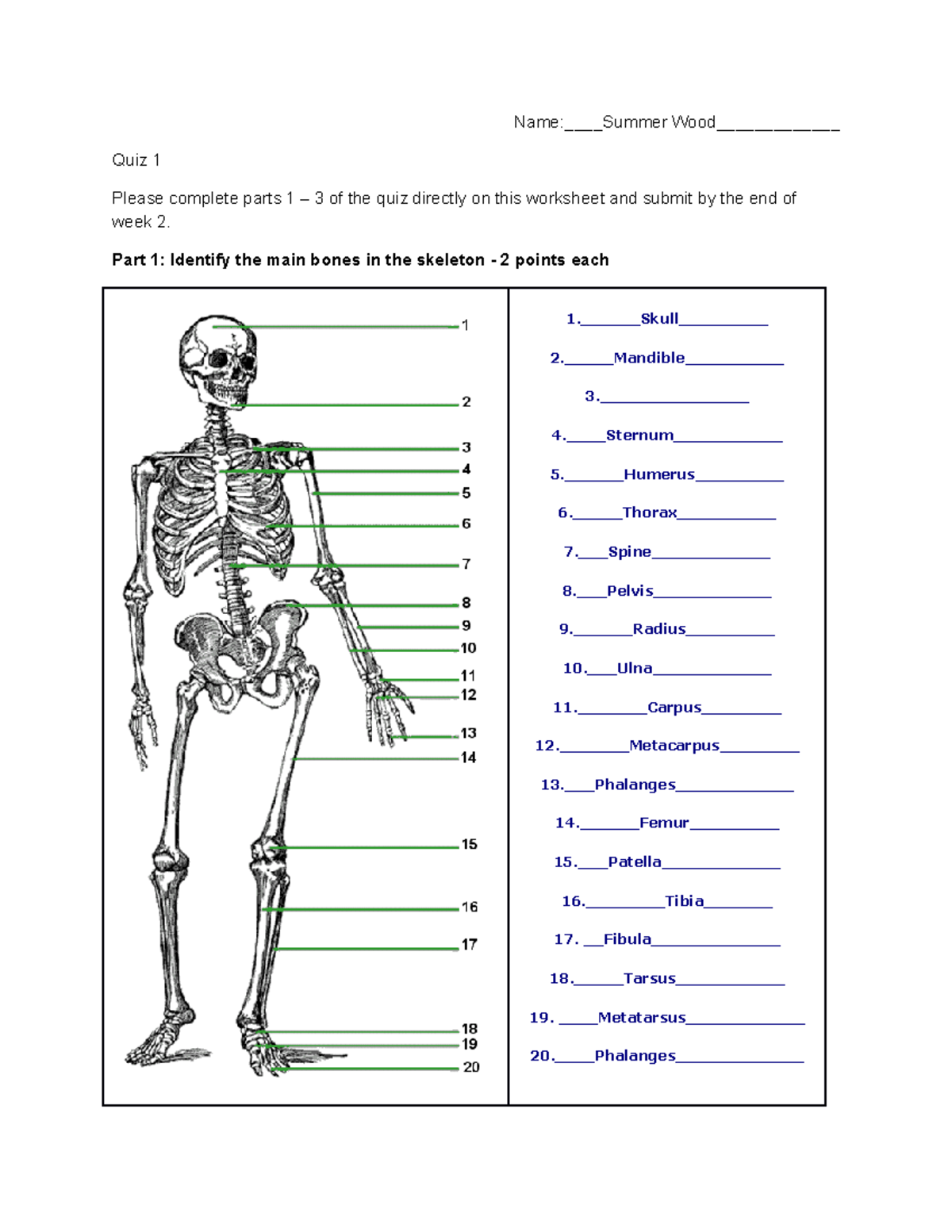 Quiz 1 New First assignment NameSummer Wood_________ Quiz 1