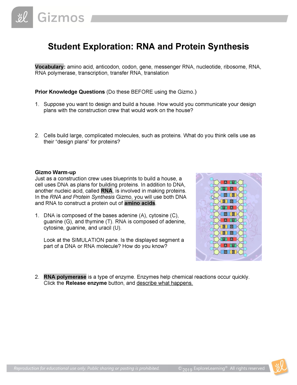 Gizmo - Protein Synthesis - Student Exploration: RNA And Protein ...