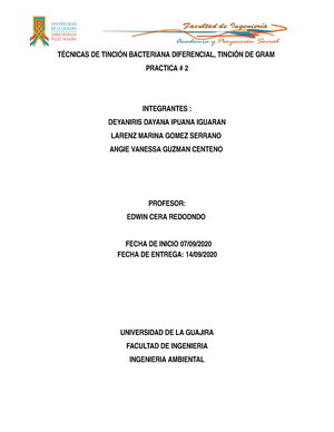 Informe 2 Tincion De Gram - Tinción De Gram Mendoza Arrieta Angie ...