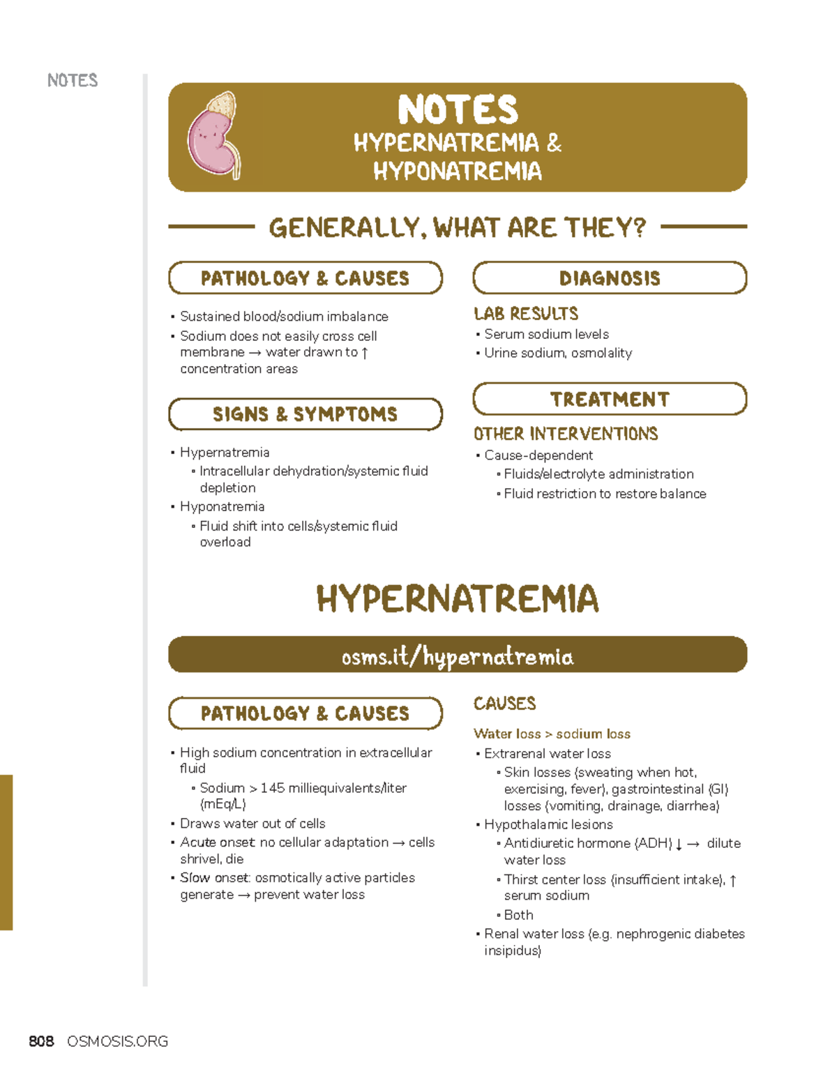 Hypernatremia and hyponatremia - NOTES GENERALLY, WHAT ARE THEY ...