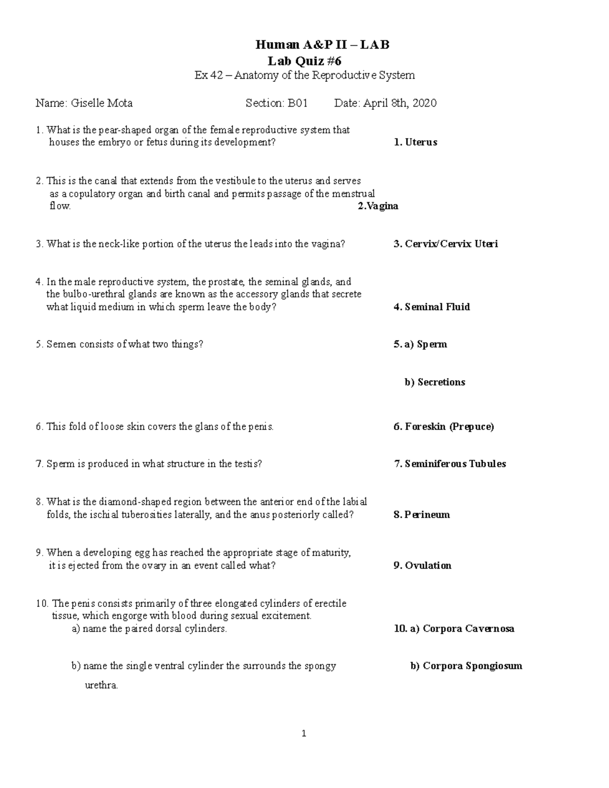 HAP2 Spr20 Lab Quiz 6 Ex 42 Reproductive v2 Human A&P II LAB Lab