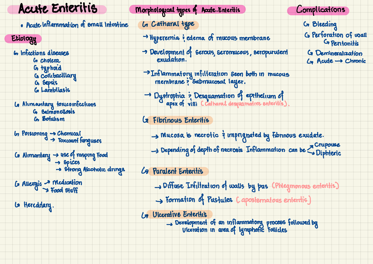 acute-and-chronic-enteritis-pathanatomy-acute-enteritis