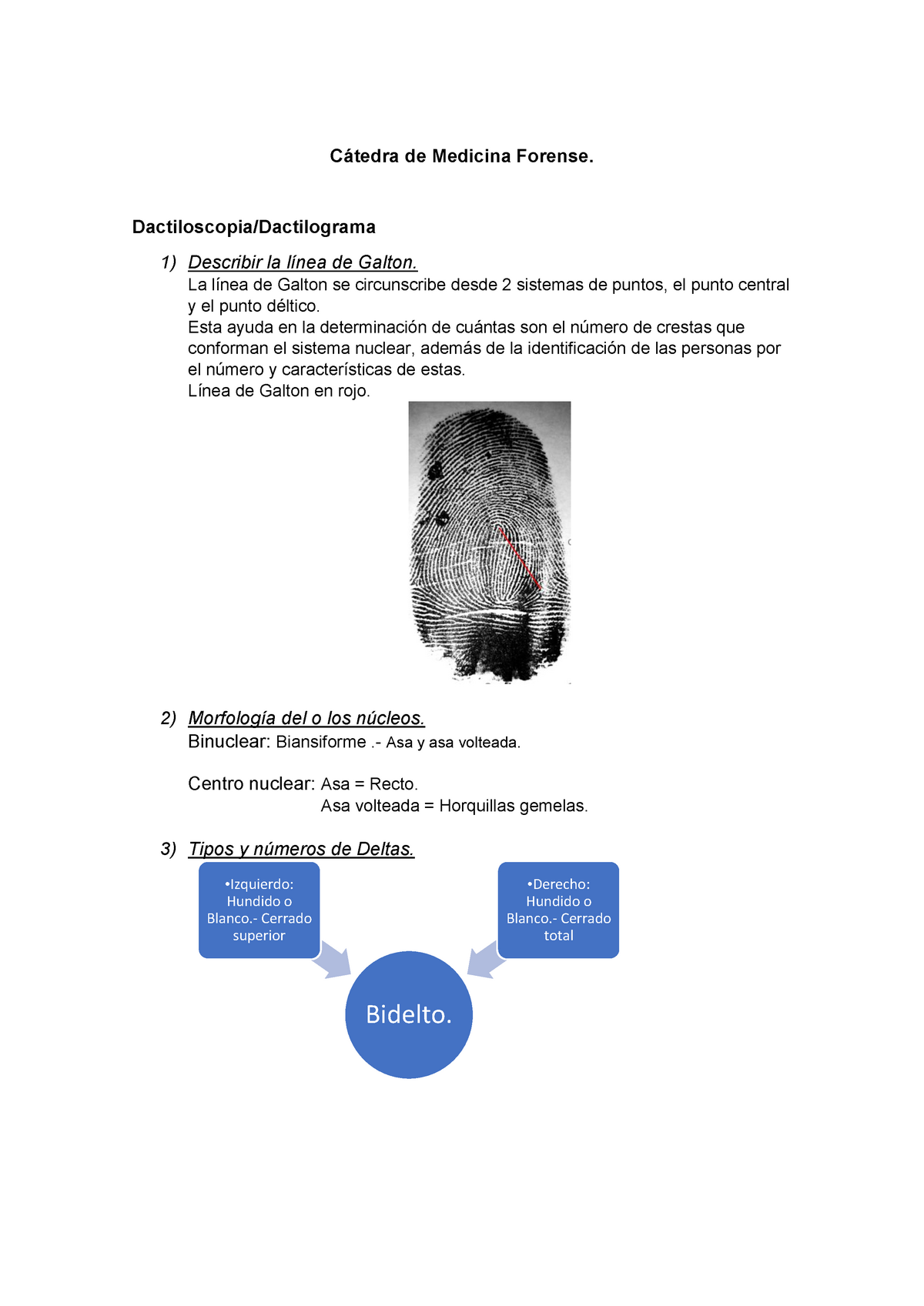 Dactiloscopia Cátedra De Medicina Forense Dactiloscopiadactilograma 1 Describir La Línea De 7955