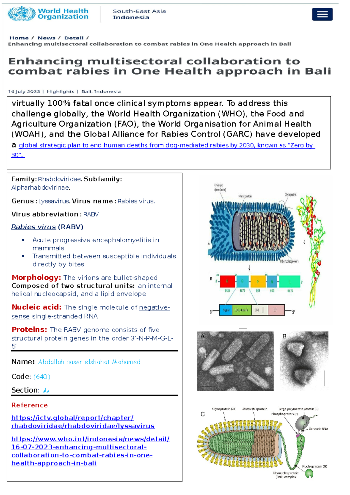 Rabies virus - Veterinary medicine - Family: Rhabdoviridae. Subfamily ...