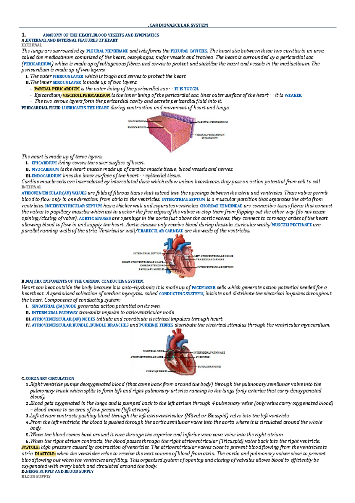 BIOS1170 Body Systems - . CARDIOVASCULAR SYSTEM 1. ANATOMY OF THE HEART ...