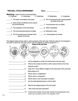 BIO 101 The Organ Systems - Aniays Allison 1/17/ BIO 101 The Organ ...