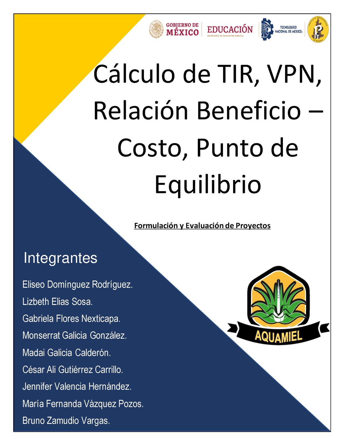 Cálculo De Tir Vpn Relación Beneficio Costo Punto De Equilibrio FormulaciÛn Y EvaluaciÛn De 6437