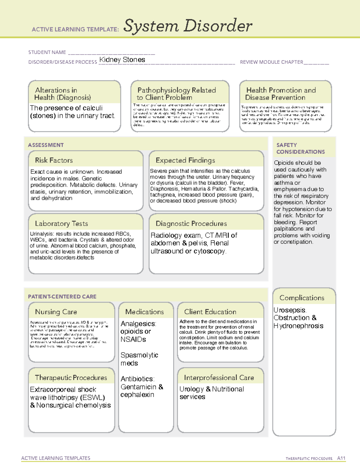 SD Kidney Stones - ACTIVE LEARNING TEMPLATES THERAPEUTIC PROCEDURE A ...