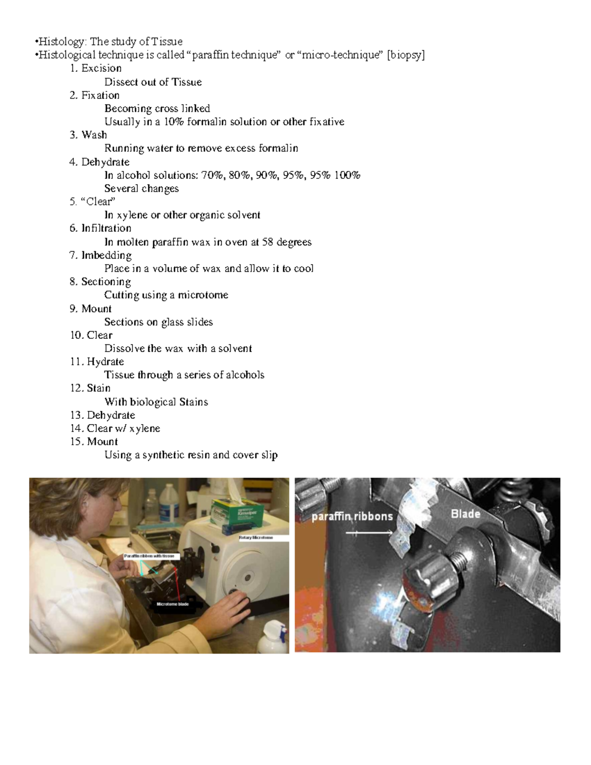 Lecture 2 Histology - The study of Tissue technique is called or 1 ...
