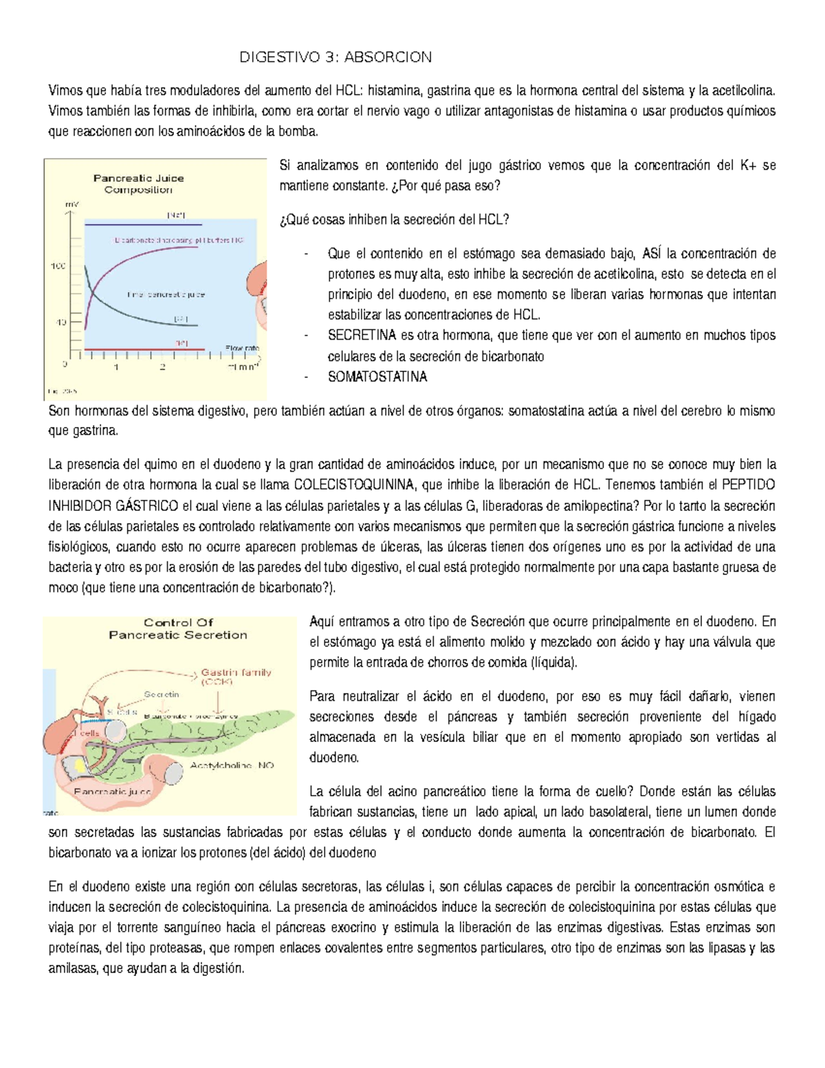 Absorcion Y Digestion Del Sistema Digestivo Studocu