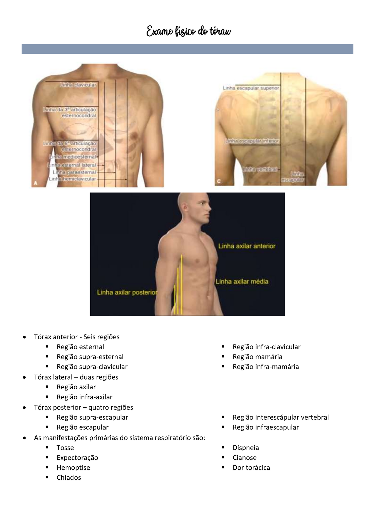 Exame Físico Do Tórax Exame Físico Do Tórax Tórax Anterior Seis Regiões Região Esternal 3853
