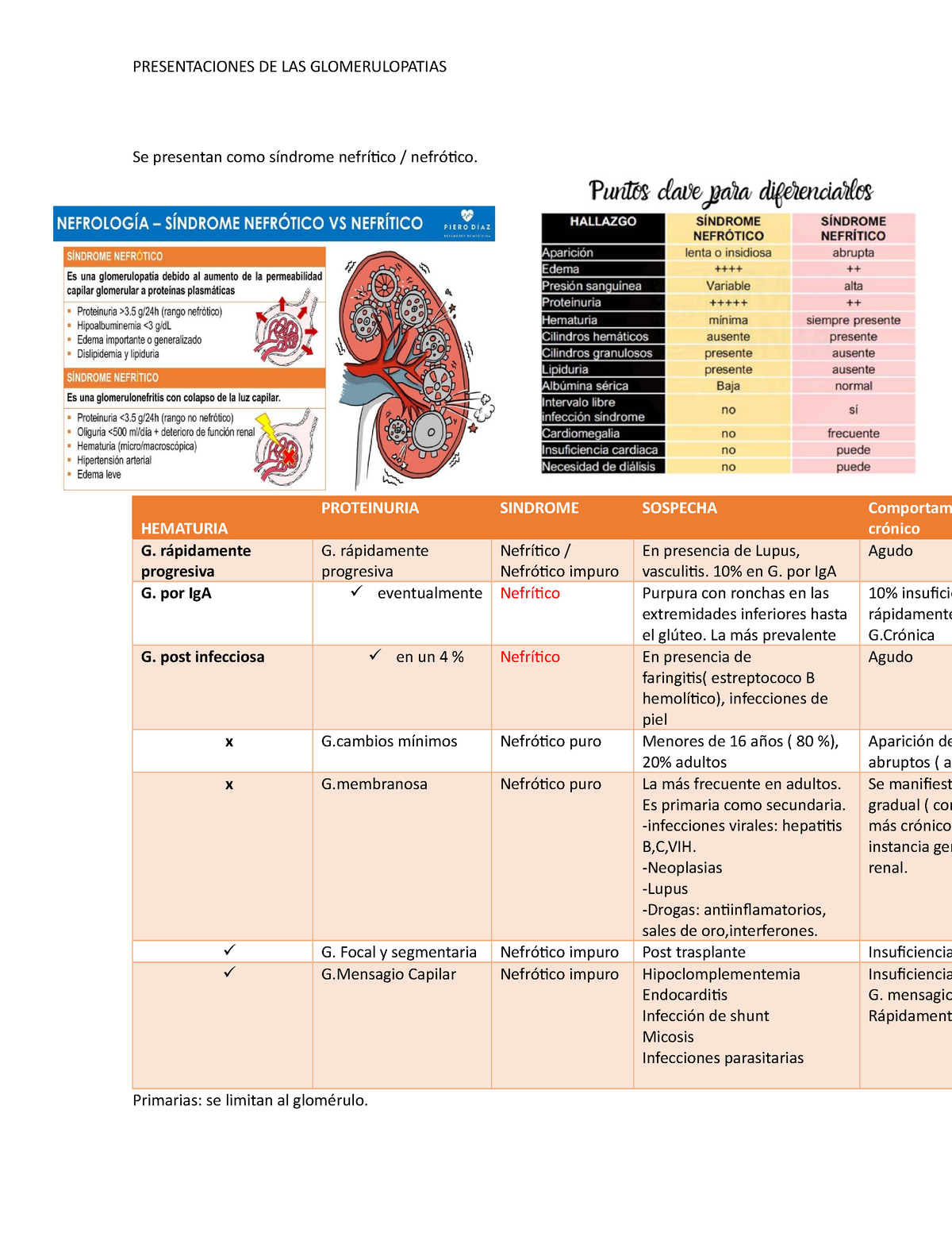 Glomerulopatias Primarias Y Secundarias Descripciones Presentaciones De Las Glomerulopatias