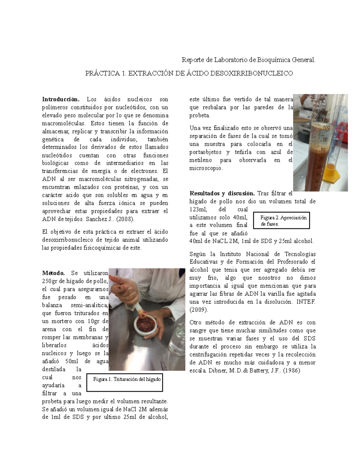 Bioq Reporte Extraccion De Adn Reporte De Laboratorio De Bioquímica