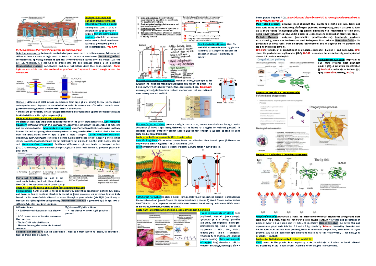 BIOSCI 107 Cheat Sheet - Lecture 15: Structure & Function of Cell ...