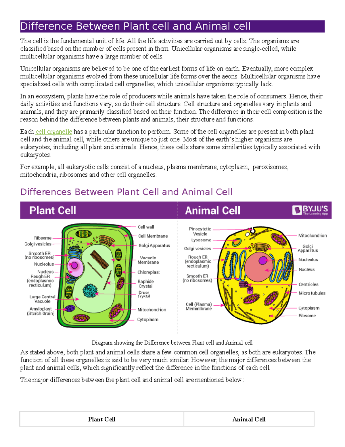 Difference Between Plant cell and Animal cell - All the life activities ...