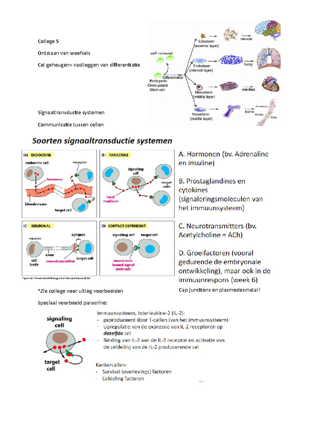 Celbiologie Lecture 5 Samenvatting 2021 - College 5 Ontstaan Van ...