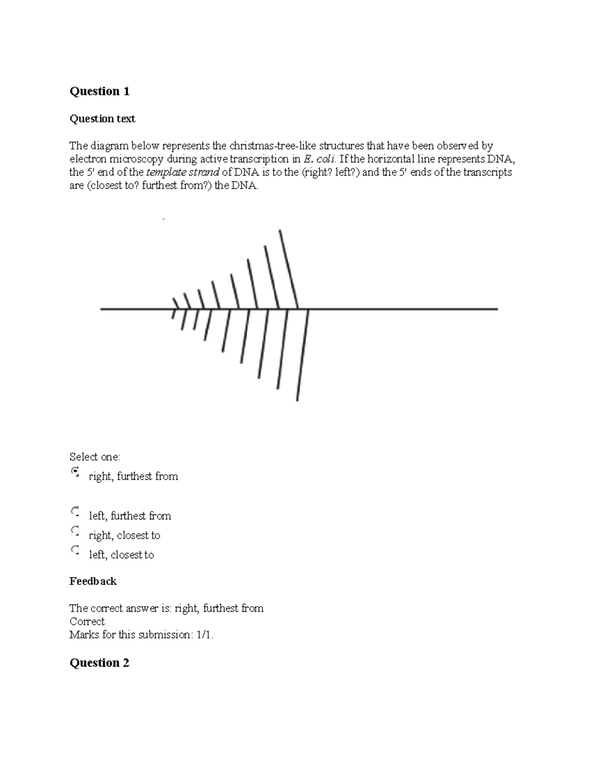 Chapter 8 questions - NOTES - Question 1 Question text The diagram ...