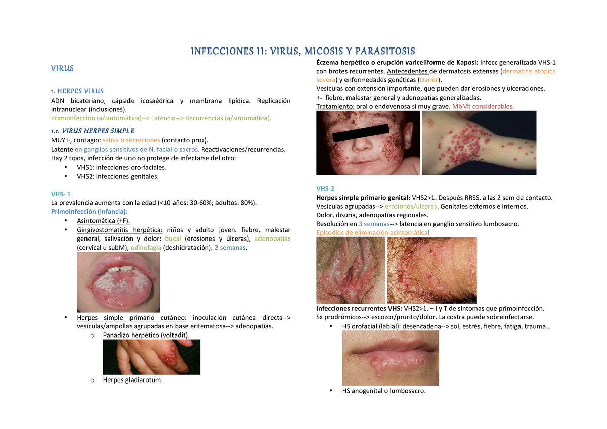 5. infecciones II - Lecture notes 5 - INFECCIONES II: VIRUS, MICOSIS Y  PARASITOSIS VIRUS 1. HERPES - Studocu
