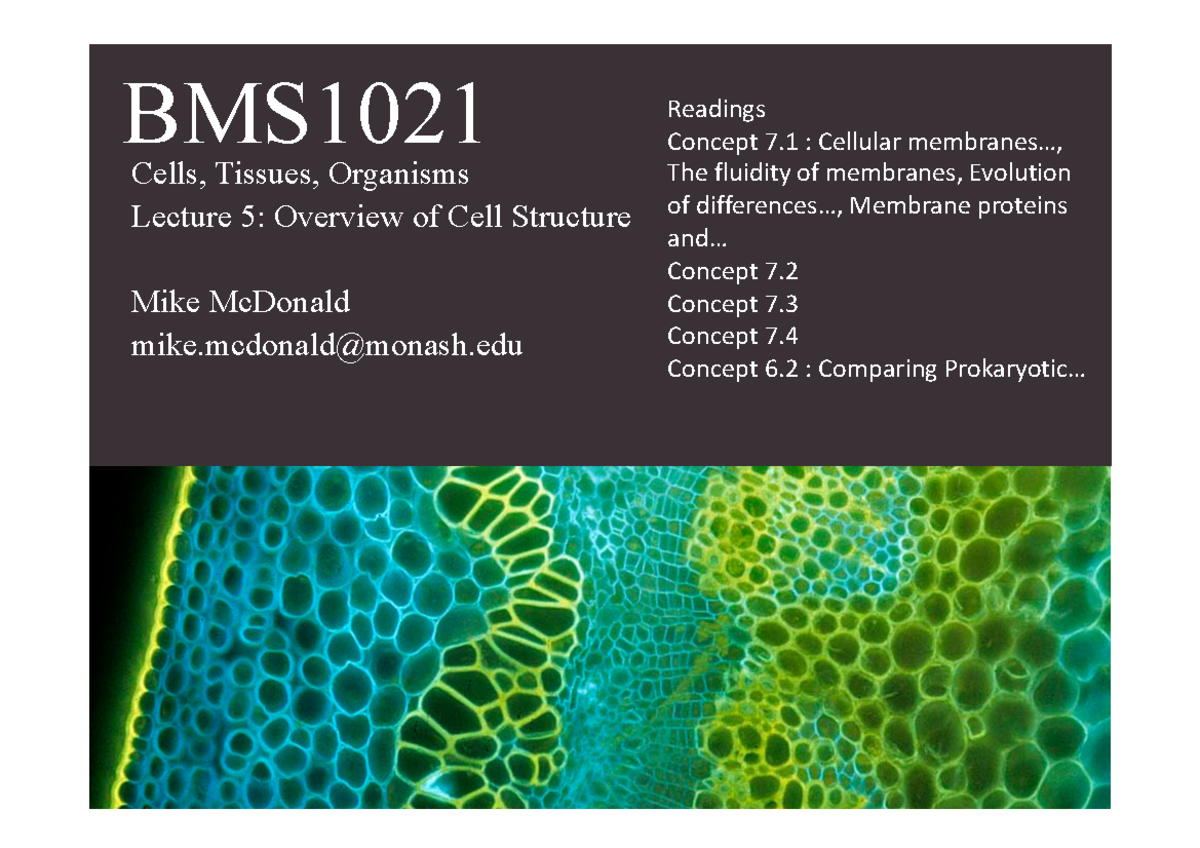 Notes 1 A Basic Introduction For Biological Science Bms Cells Notes 1 A Basic Introduction For Biological Science Bms Cells